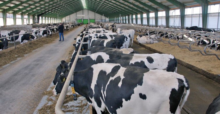 Mléčná farma roku 2023  už zná své vítěze